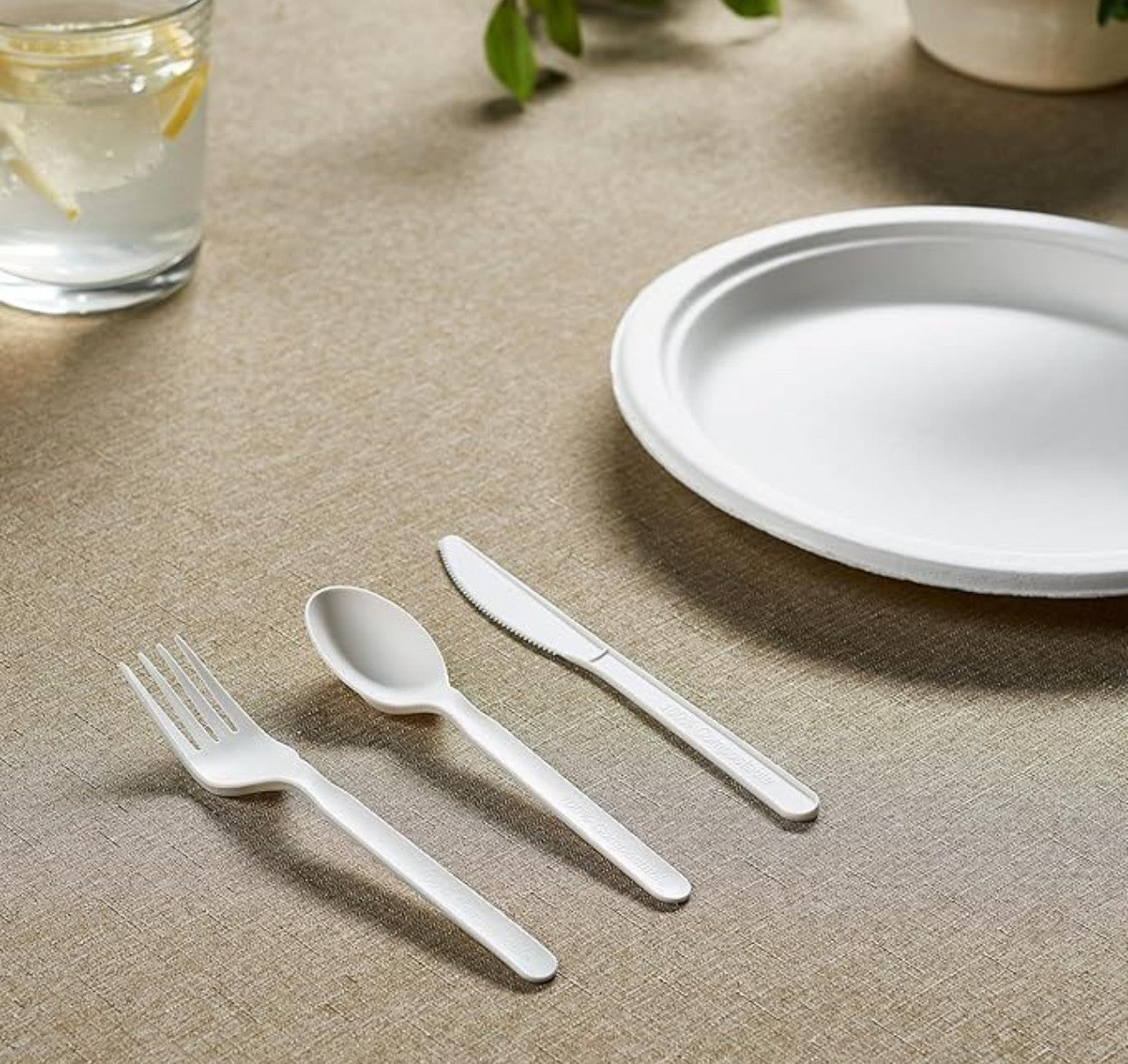 Plates, Napkins & Cutlery